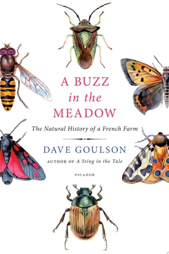 A Buzz in the Meadow The Natural History of a French Farm